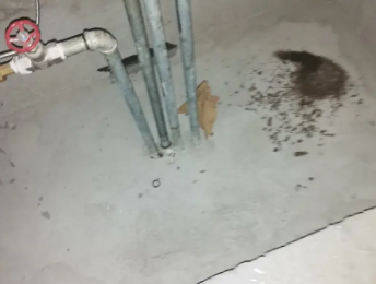 阿克苏地卫生间测漏水价格明细